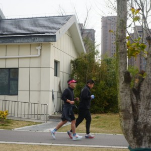 迁马在即，宿迁跑友备战氛围拉满！|马拉松|宿迁市|江苏省|队员|故道_新浪新闻